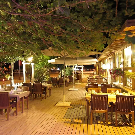 Hunters (adults Only) Assos