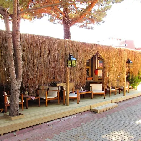 Hunters (adults Only)