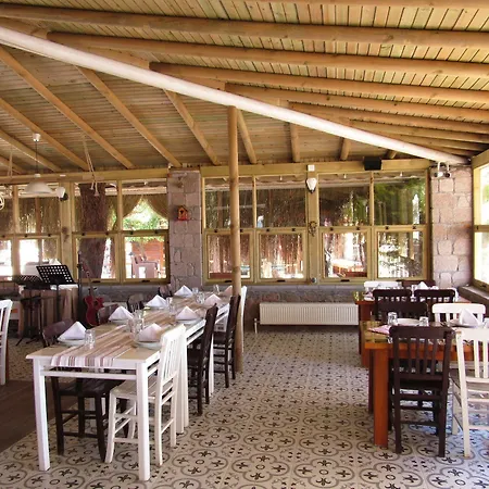 Hunters (adults Only)