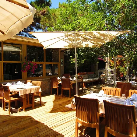 Hunters (adults Only) * Assos