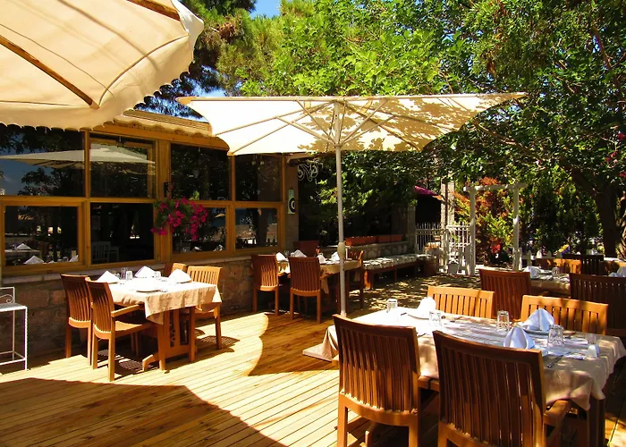 Hunters (adults Only) * Assos